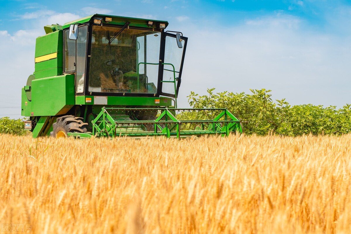 农村社保卡可以申请什么补贴,农村社保卡补贴