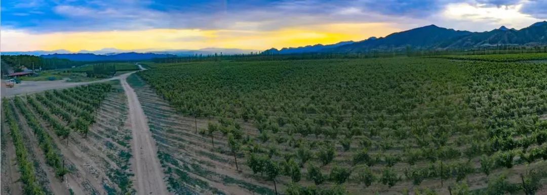 北京葡萄酒产区有哪些,离北京最近的河北地区