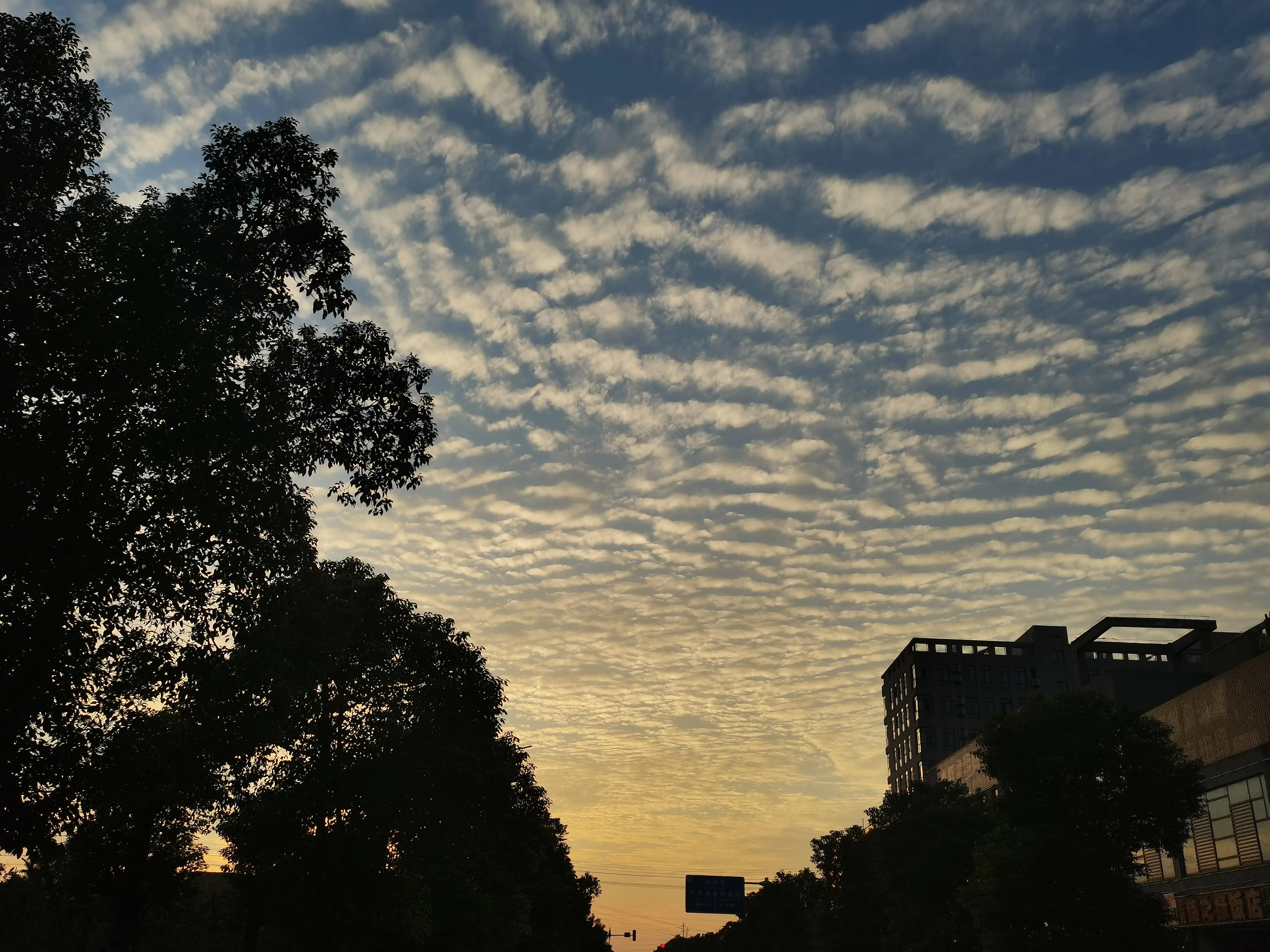 苏州托普学院最新消息,苏州托普学院