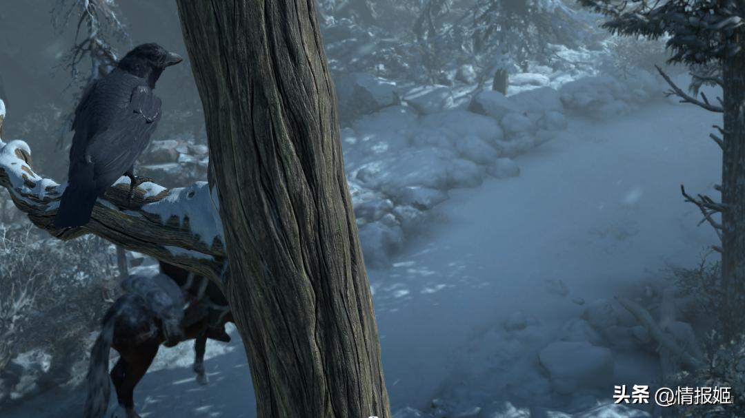 暴雪!我不许你越过越好