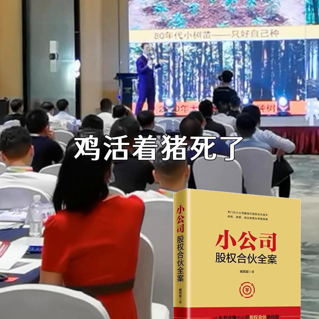 猪和鸡属相合作合不合,猪和鸡的合伙游戏