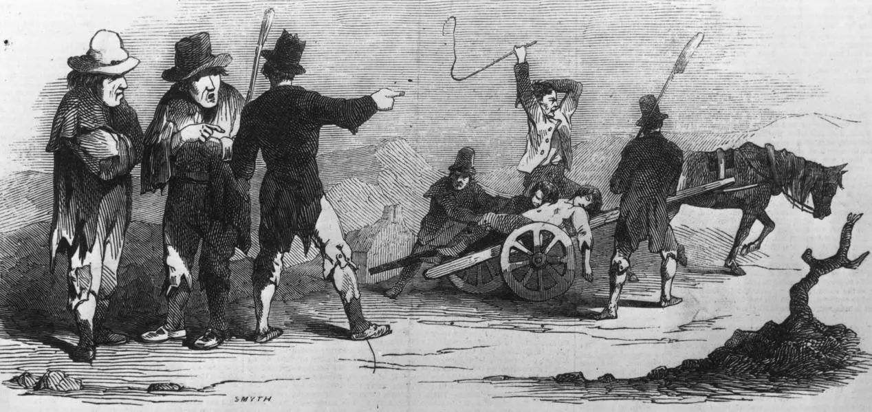 苏联饿死乌克兰人,乌克兰饥荒死了多少人