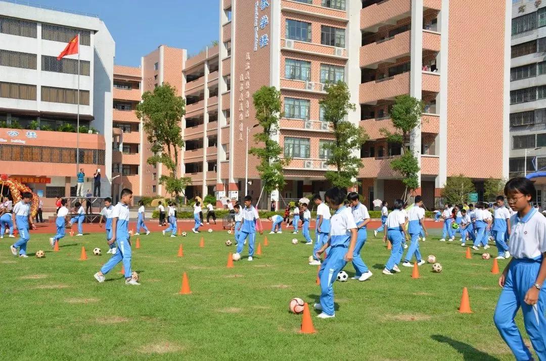 广东青少年足球学校排名,张槎中学喜报