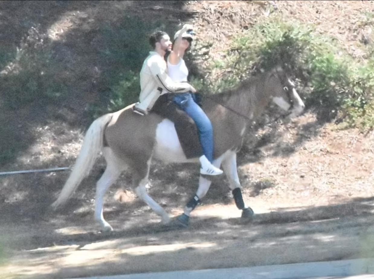 骑着爱情的小马，肯豆和坏兔子开始热恋的颠簸，甜蜜情侣祝福多多