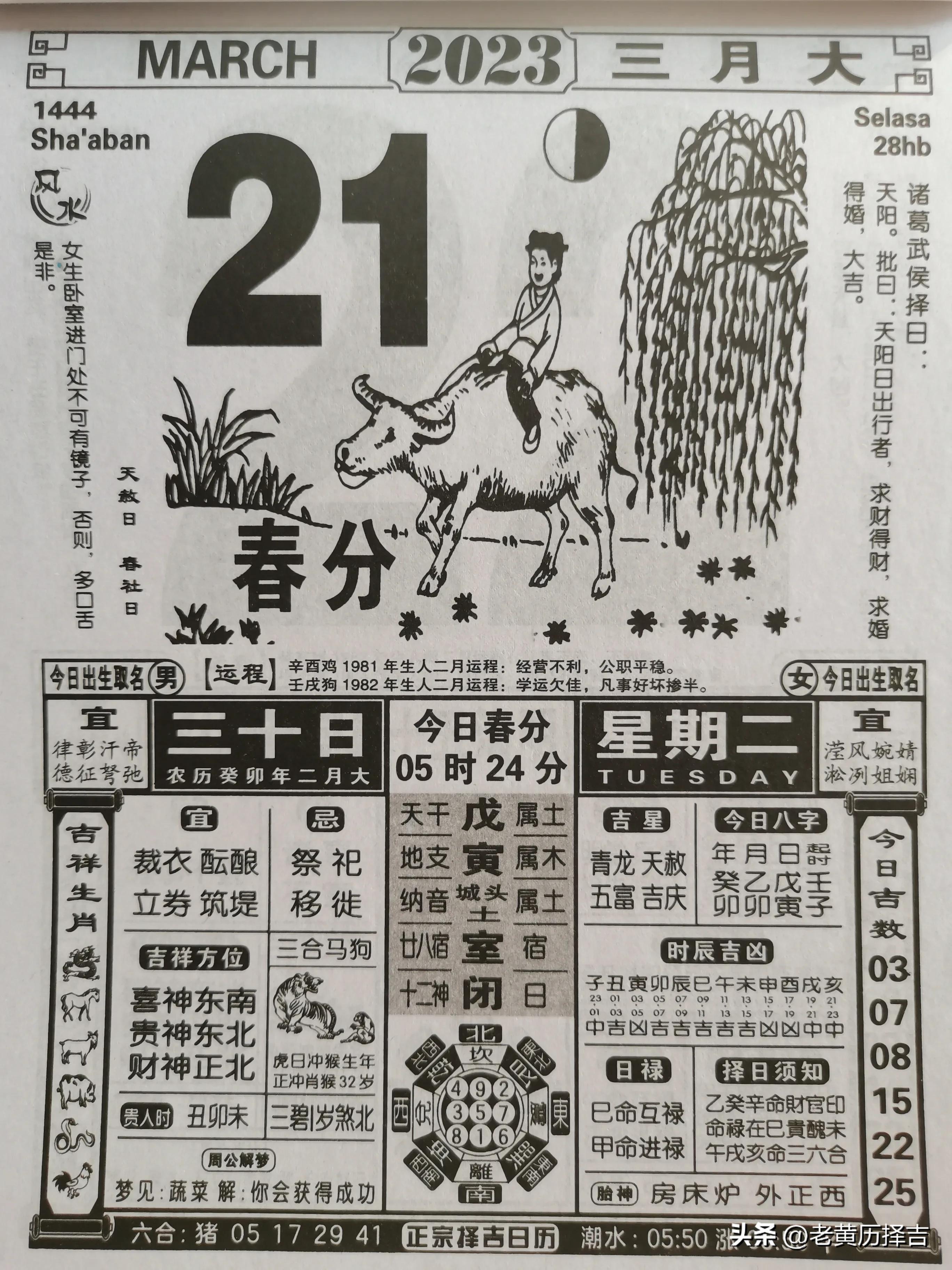 猴子森林系列33：猴非圣贤（附今明二日老黄历图）