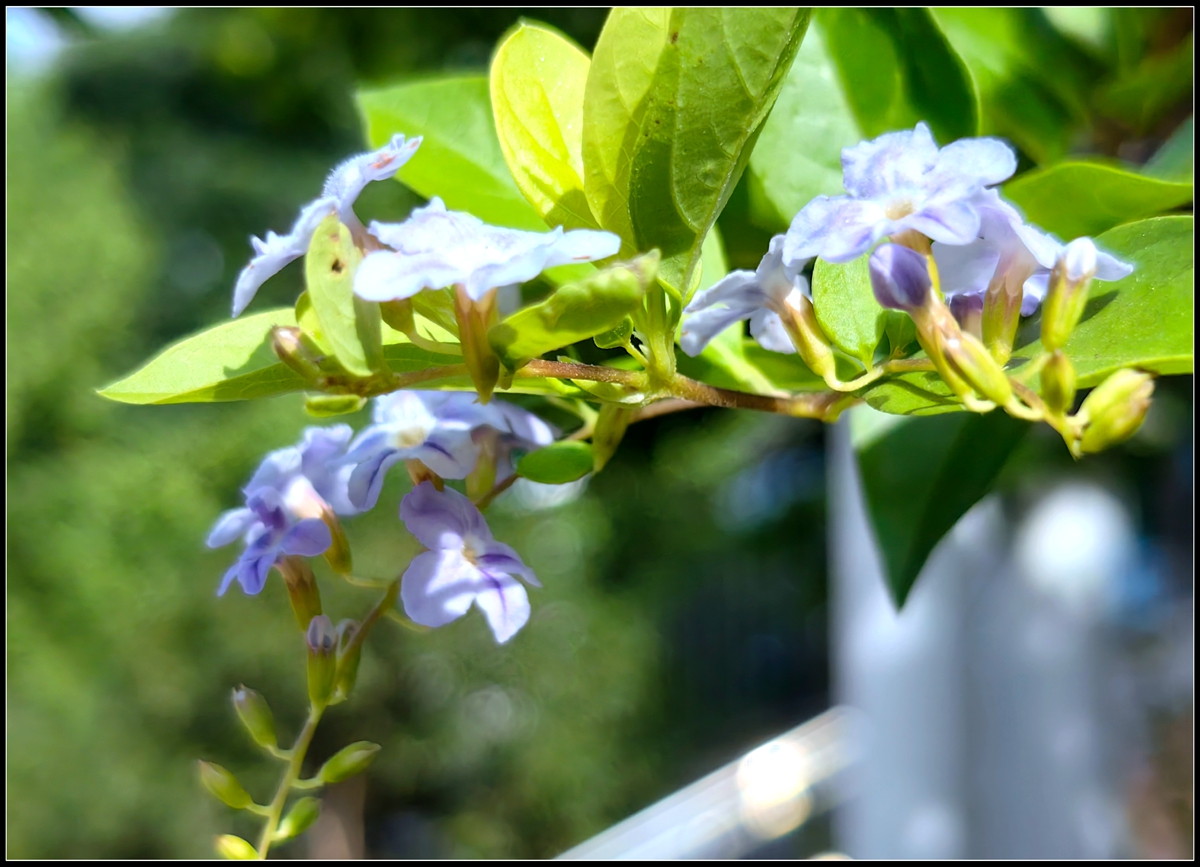 古人劝学诗句大全,古人的劝学诗有哪些