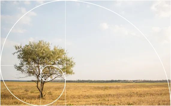 上帝的数字是20,上帝的数字代码