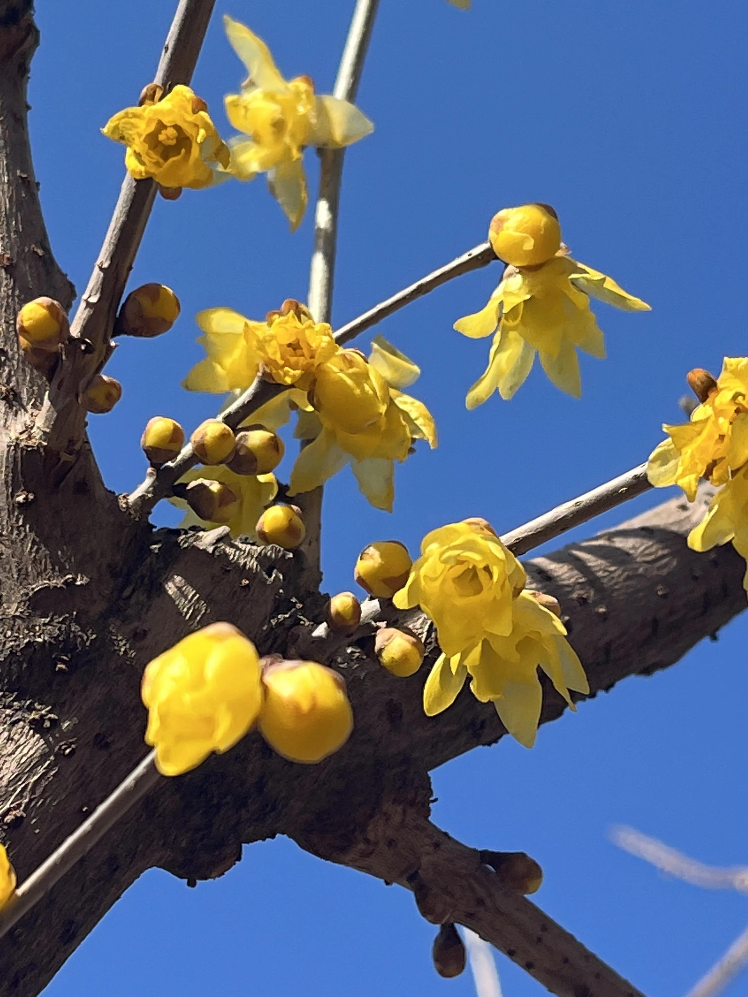 人生不需要太多理由和别人对比,流浪不需要太多理由