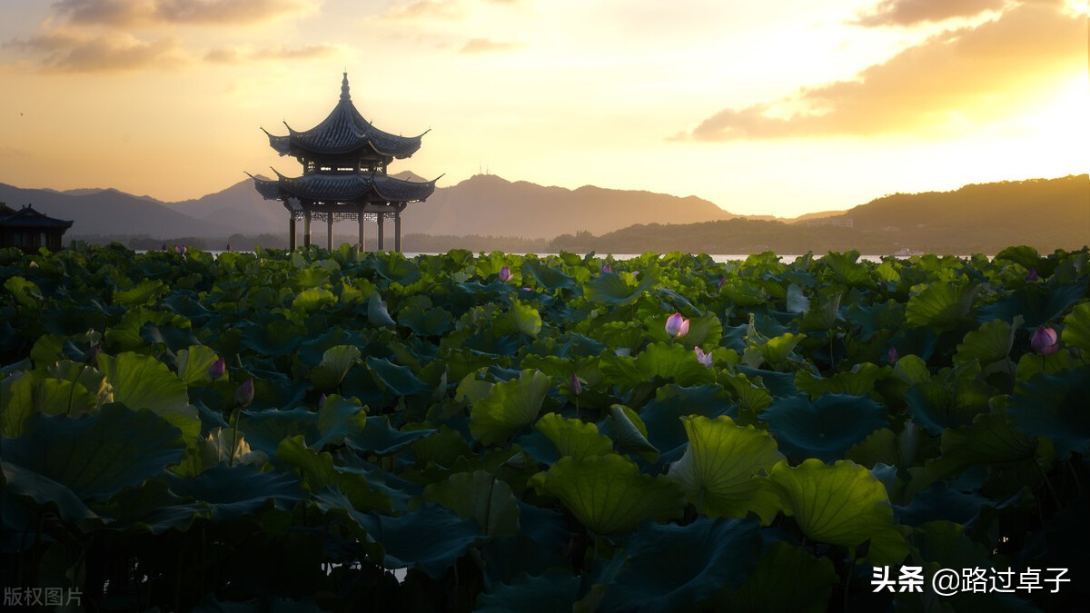 杭州旅行攻略5个必游精华景点,杭州5.1旅游景点