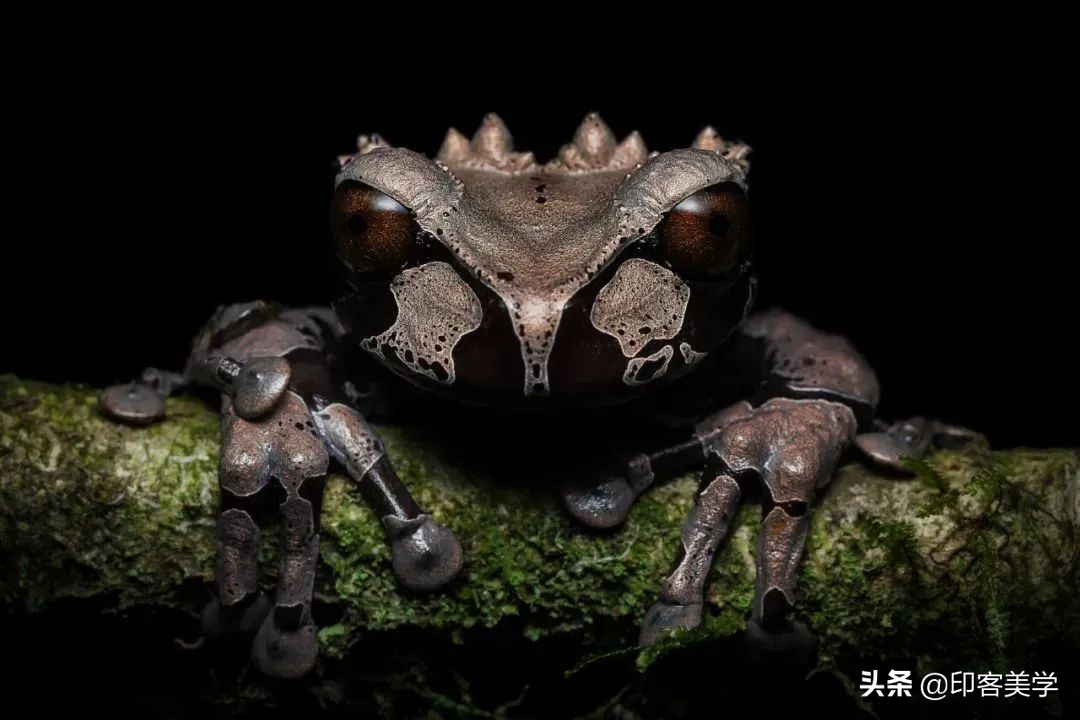 中国100张经典摄影作品,100幅顶级摄影师精心作品