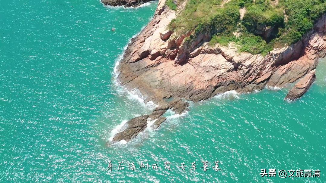 东海1号海钓,东海1号