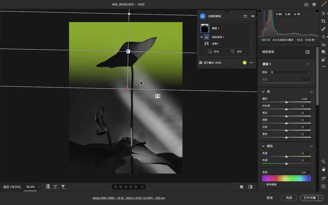 【大雷视界】PS知识点课件｜ACR蒙版制作荷花摄影作品...