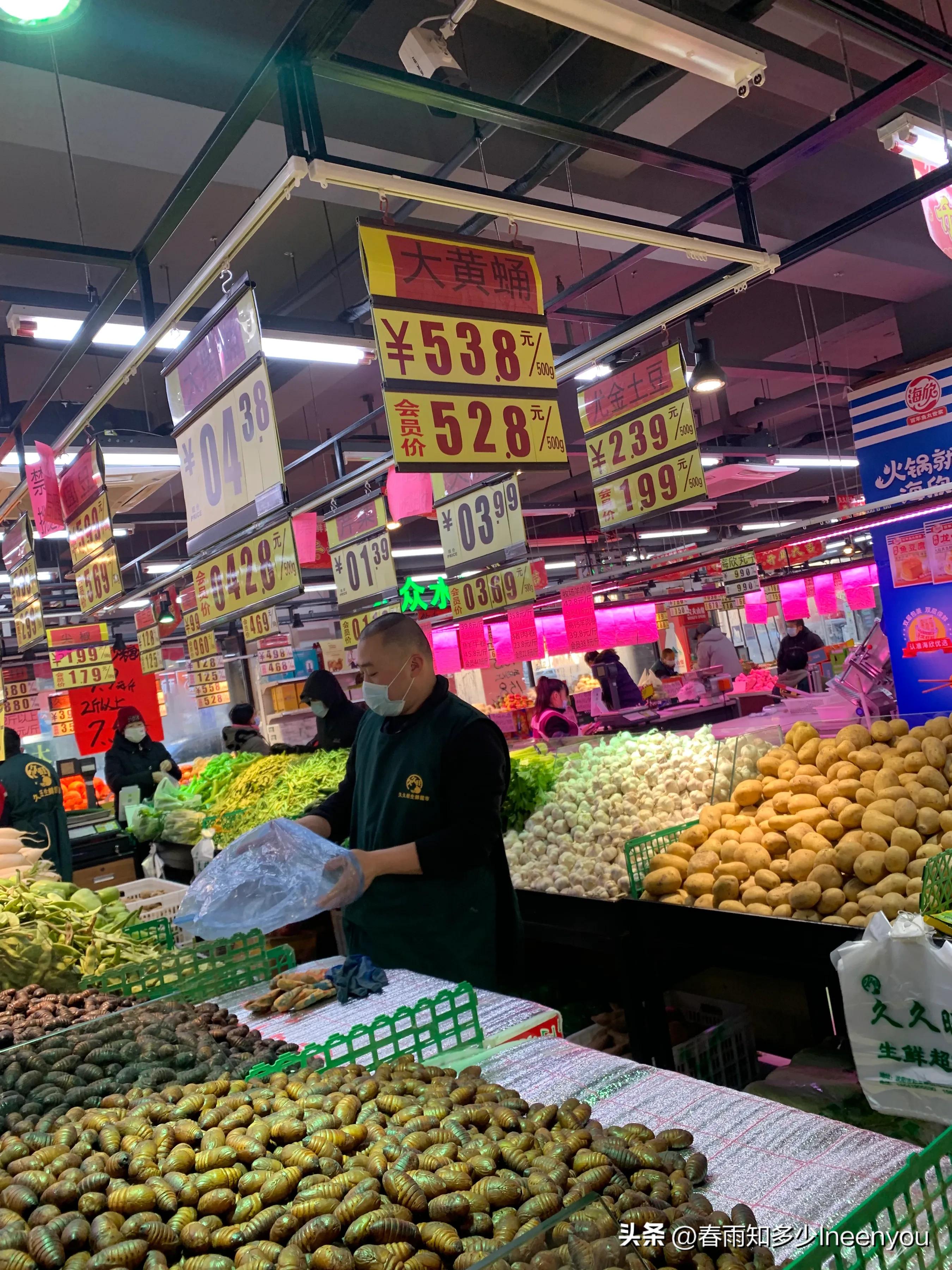 生活本就是不停的奔波,元旦将至忙忙碌碌