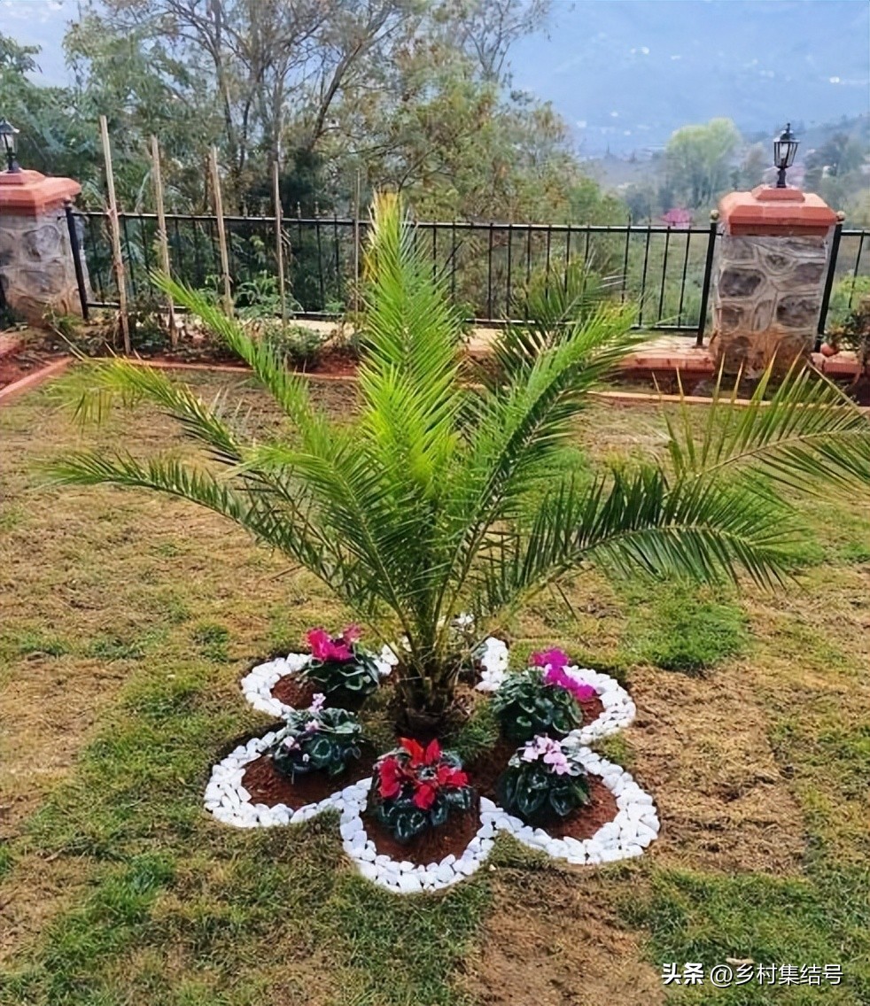 别墅庭院创意藤床,农村新型庭院花园设计图