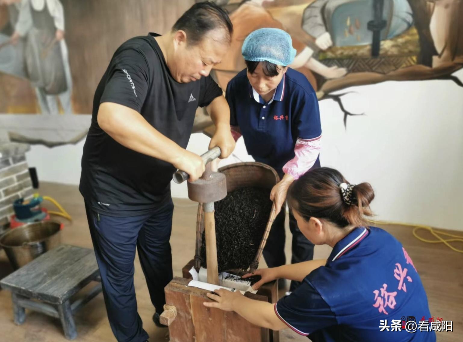 泾阳茯茶历史与文化,陕西泾阳茯茶的传承历史