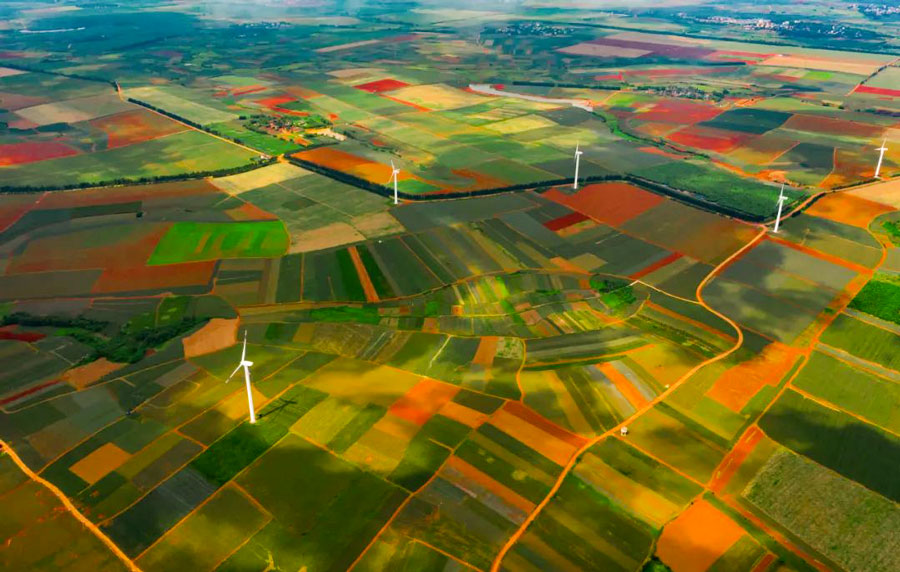 凤梨和菠萝的区别视频,菠萝凤梨是一个东西吗