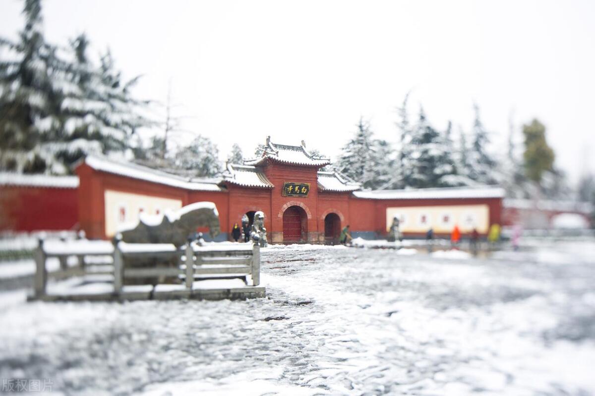 洛阳5月19日免费旅游景点有哪些,洛阳全部好玩的地方