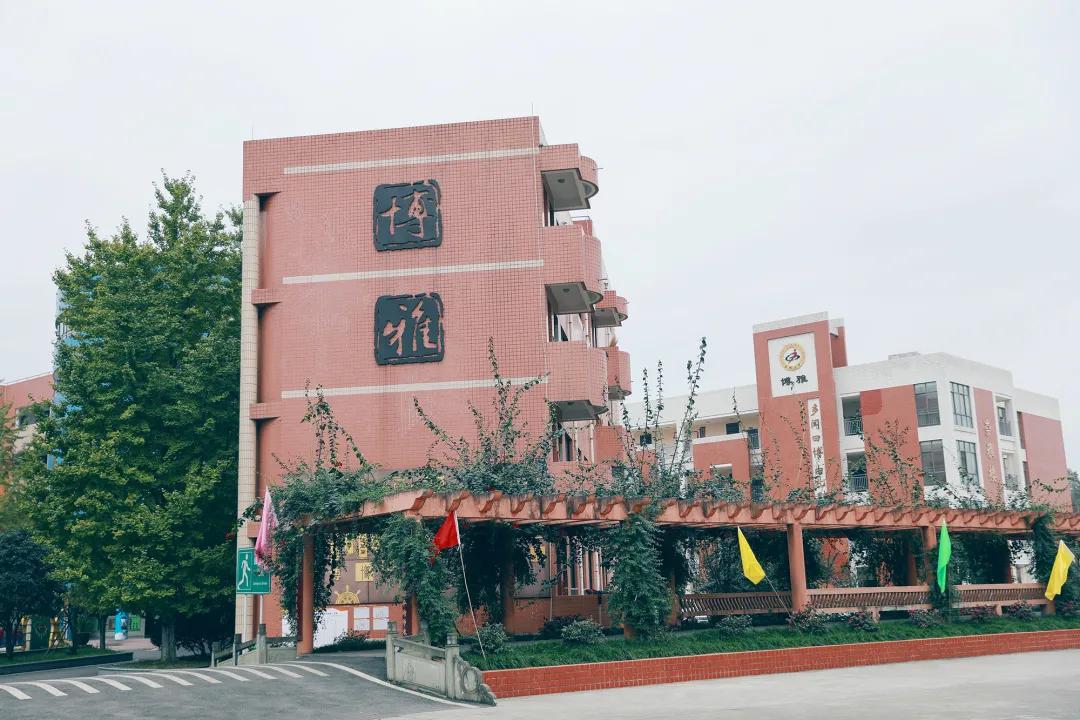 成都市双流区育英小学附近托管班,金桥中心小学被谁托管