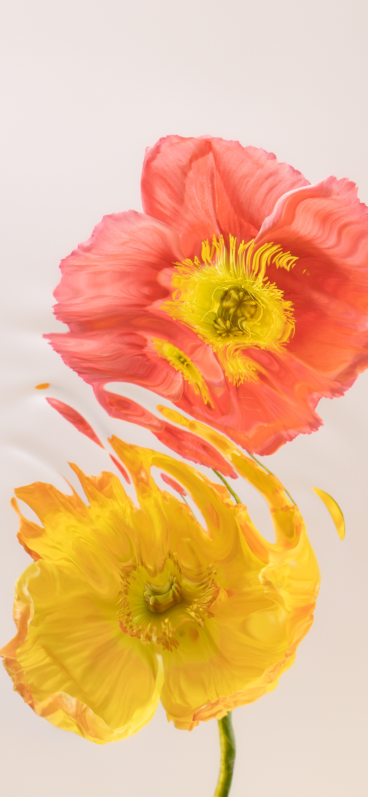 iu壁纸超清4k手机壁纸静态可保存,ipad壁纸11寸4k高清壁纸绿色系