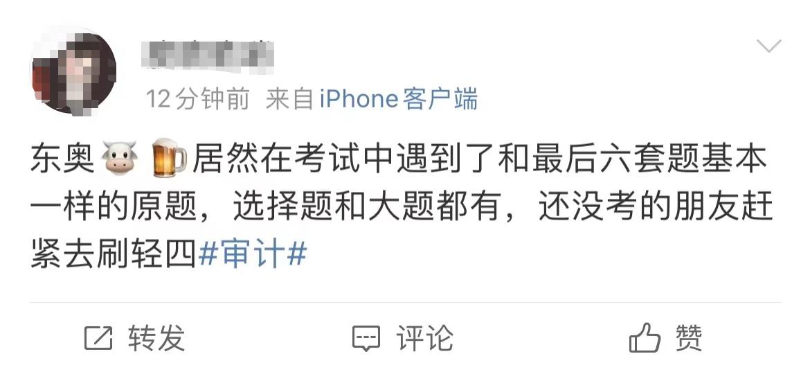 cpa审计二考,审计笔试考excel和word爱出的题