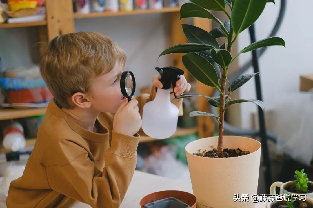 提高执行力的四大步骤,真正有效提高成绩的方法