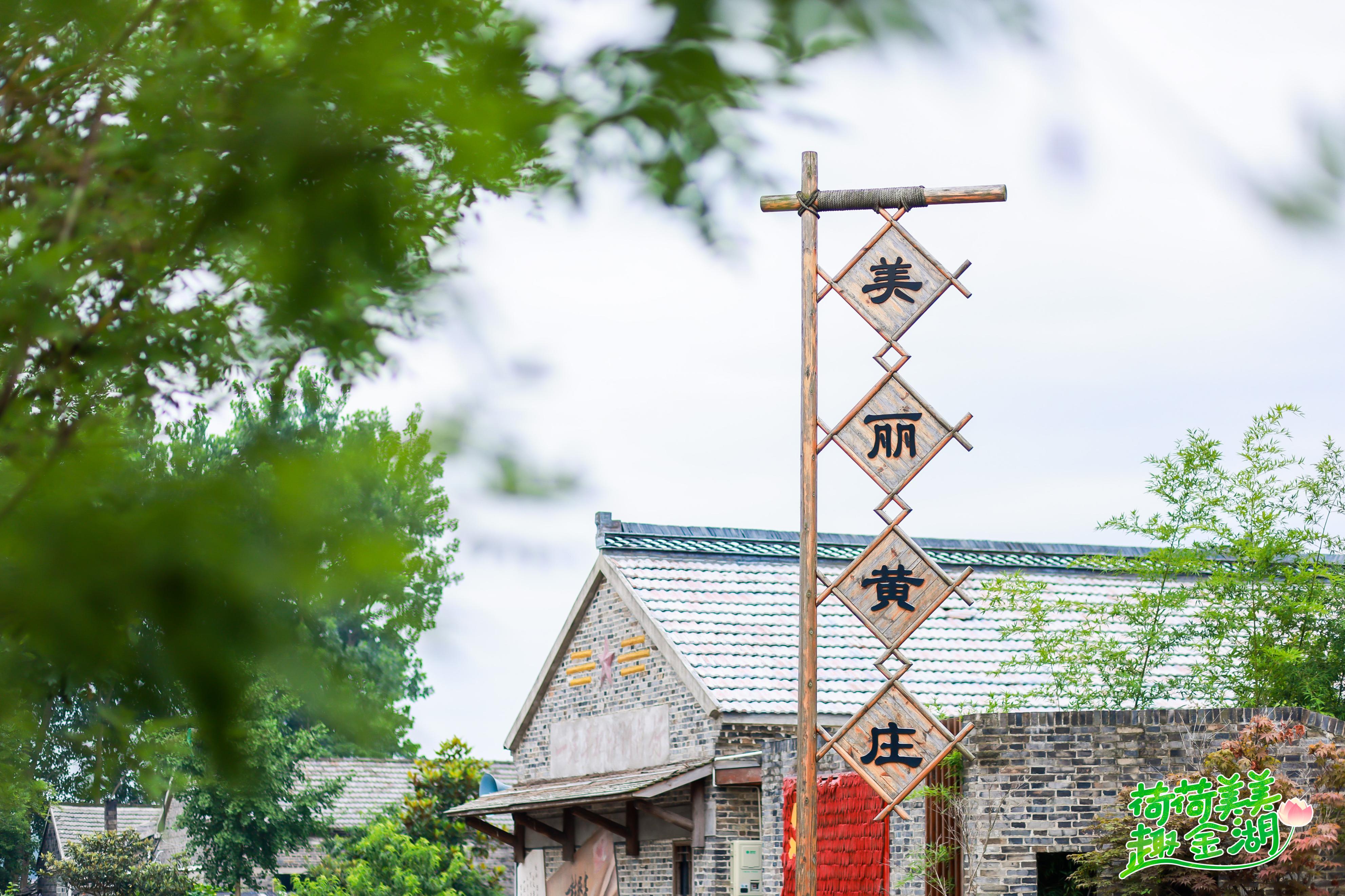 “荷荷美美趣金湖”全媒体达人采风行见证金湖美丽绽放