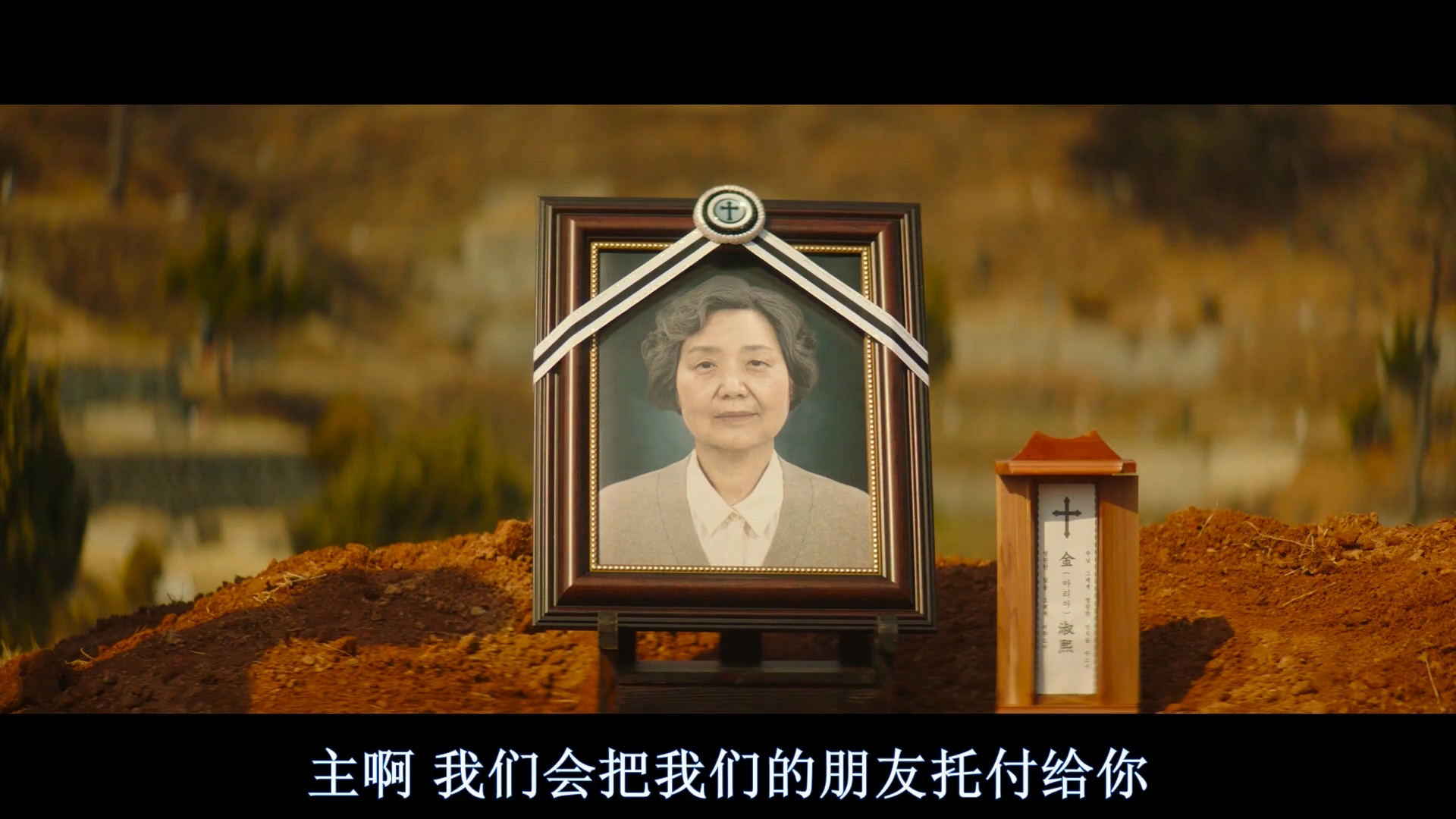 大猛哥讲电影,大猛哥讲电影合集