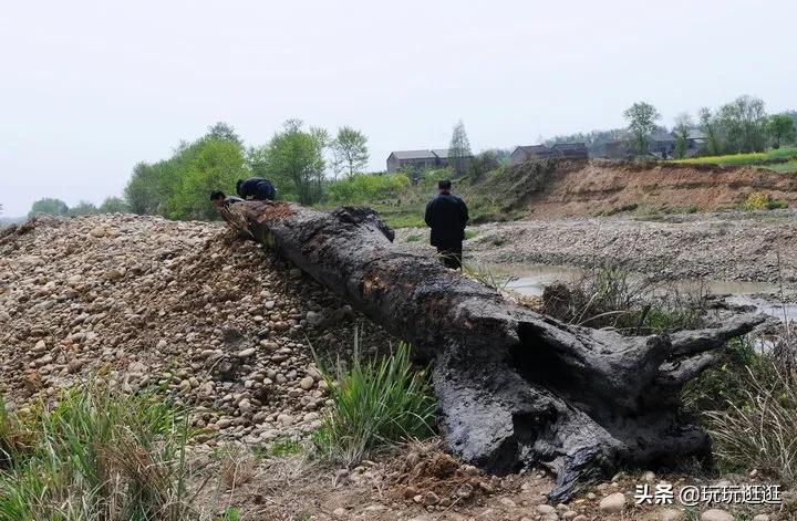 水草缸放沉木黄水怎么处理,水草缸菌膜怎么处理