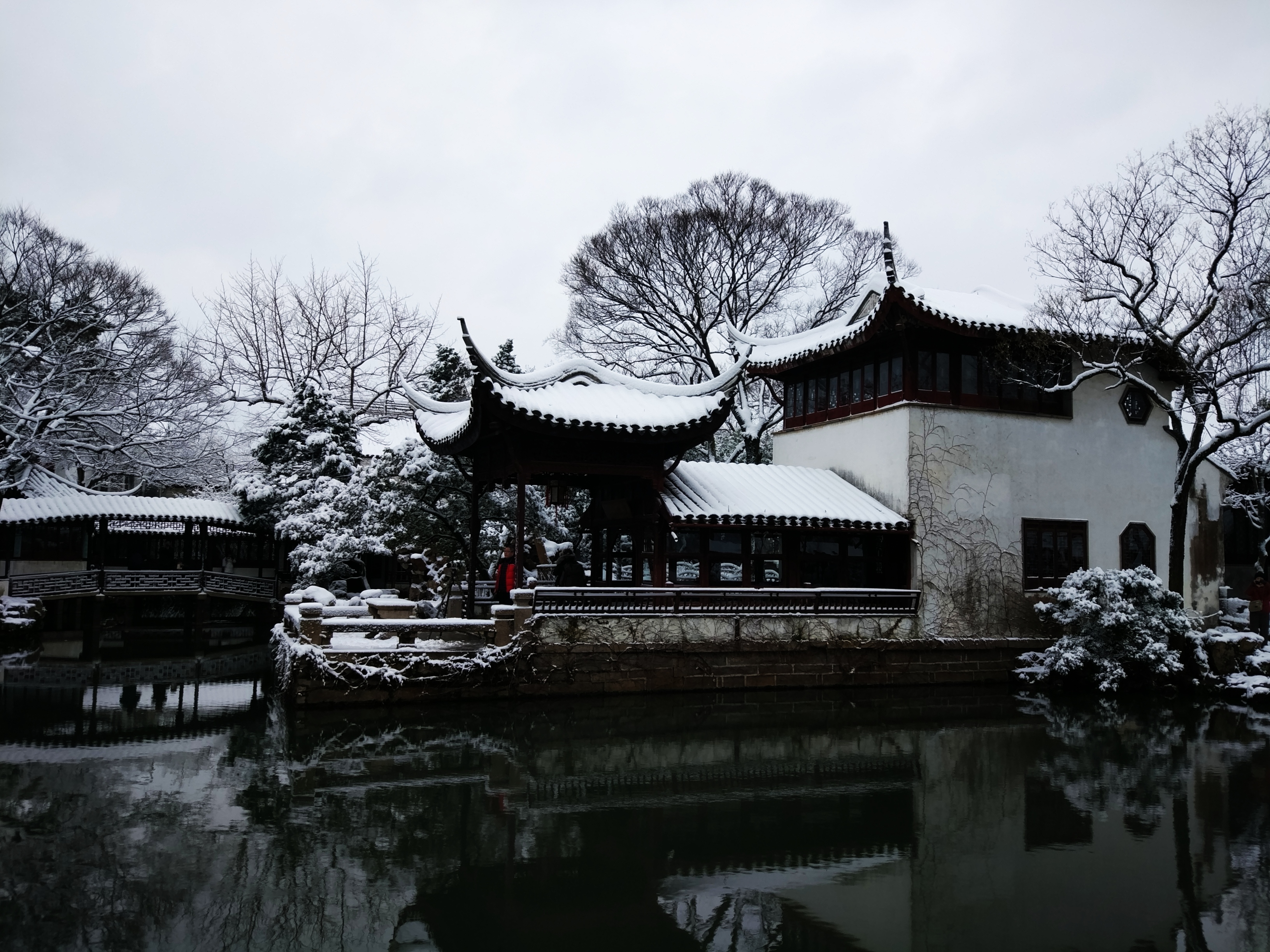 漫步拙政园一步一景,雨中漫步拙政园寻找江南水乡美