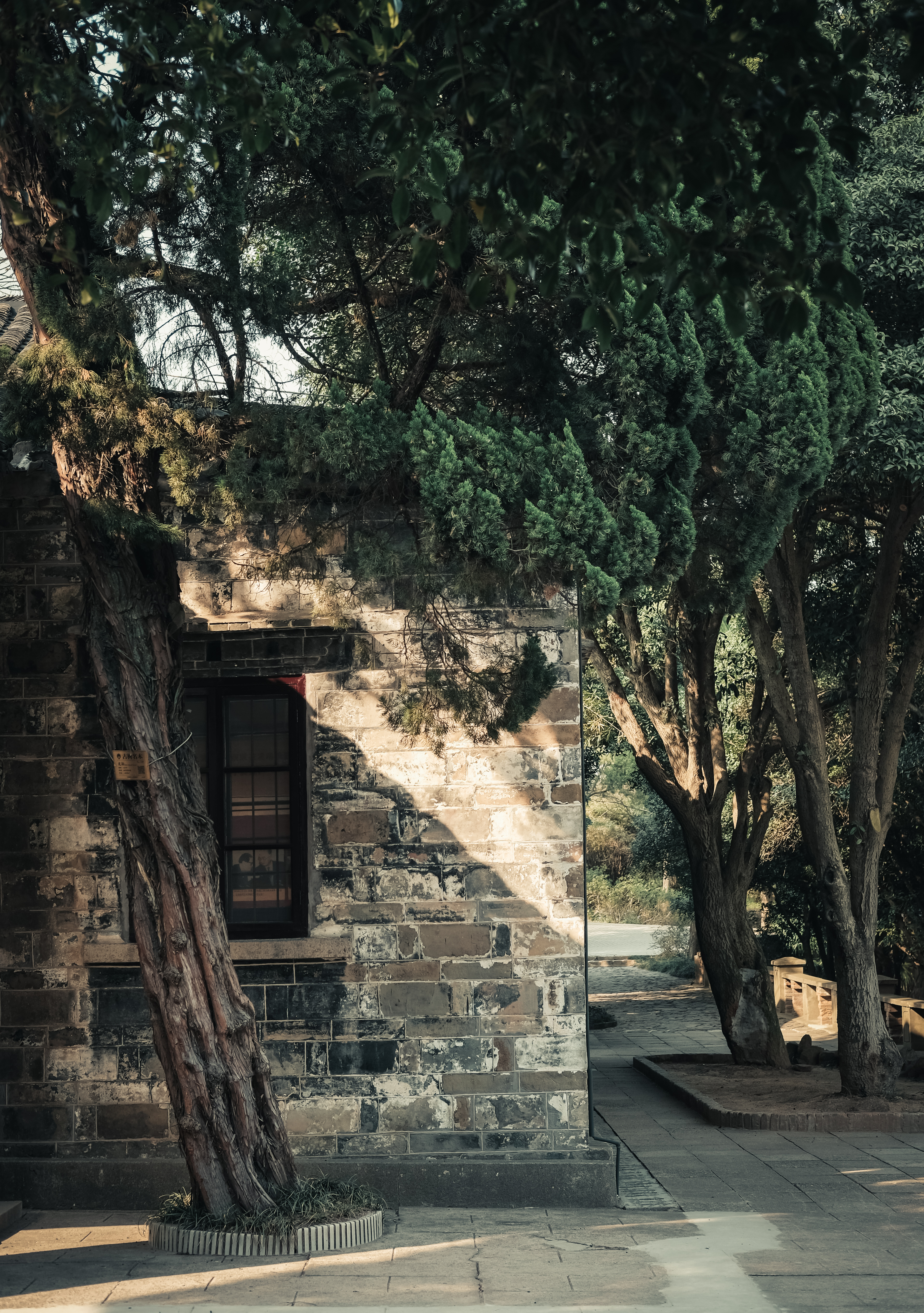 老梅园，你没有游览到；你游览的只是新梅园