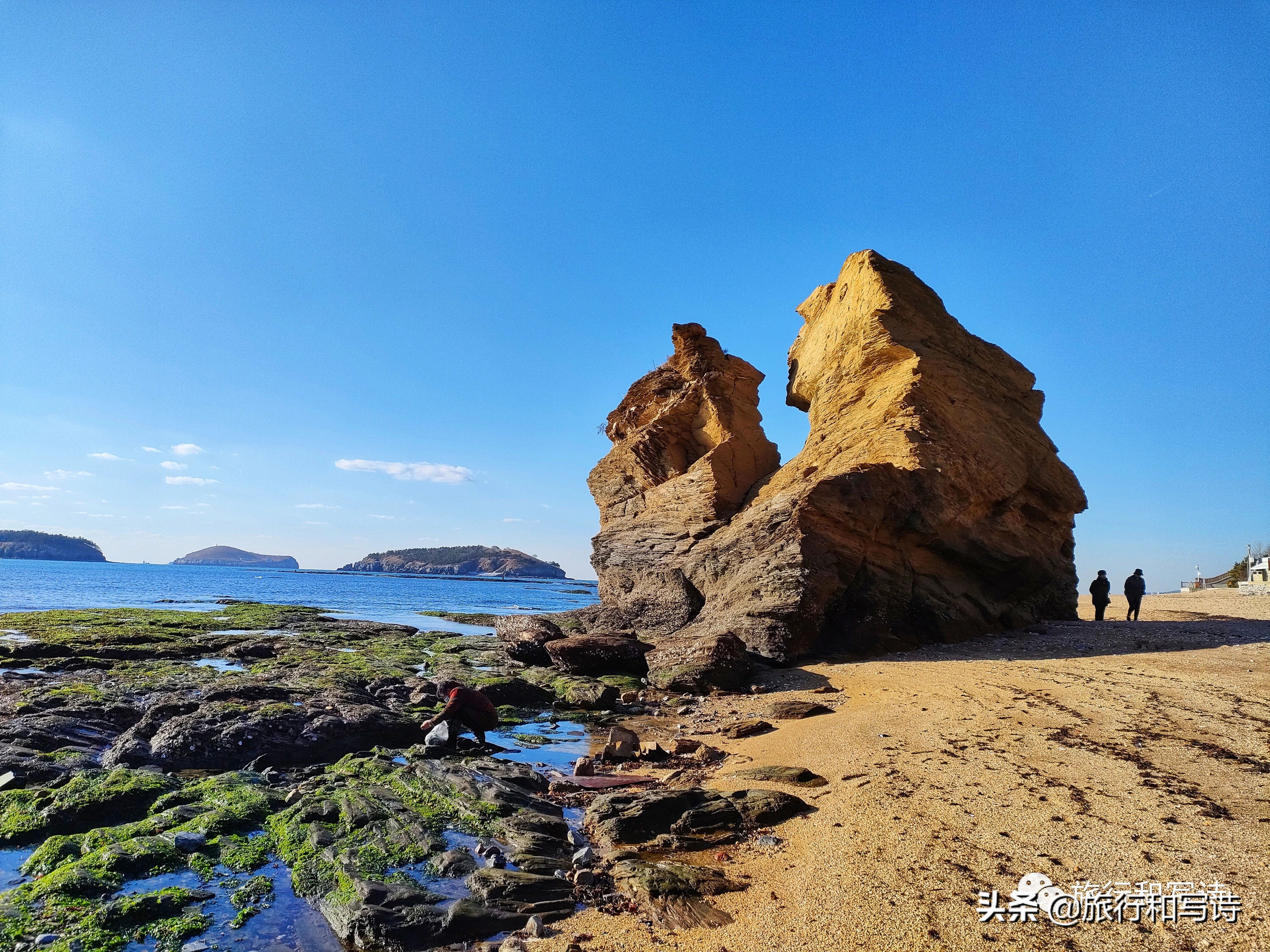 大连的一场寻“燕”之旅