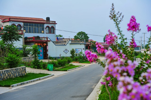 如何健全农业支持保护政策,国家大力扶持三种农业主体