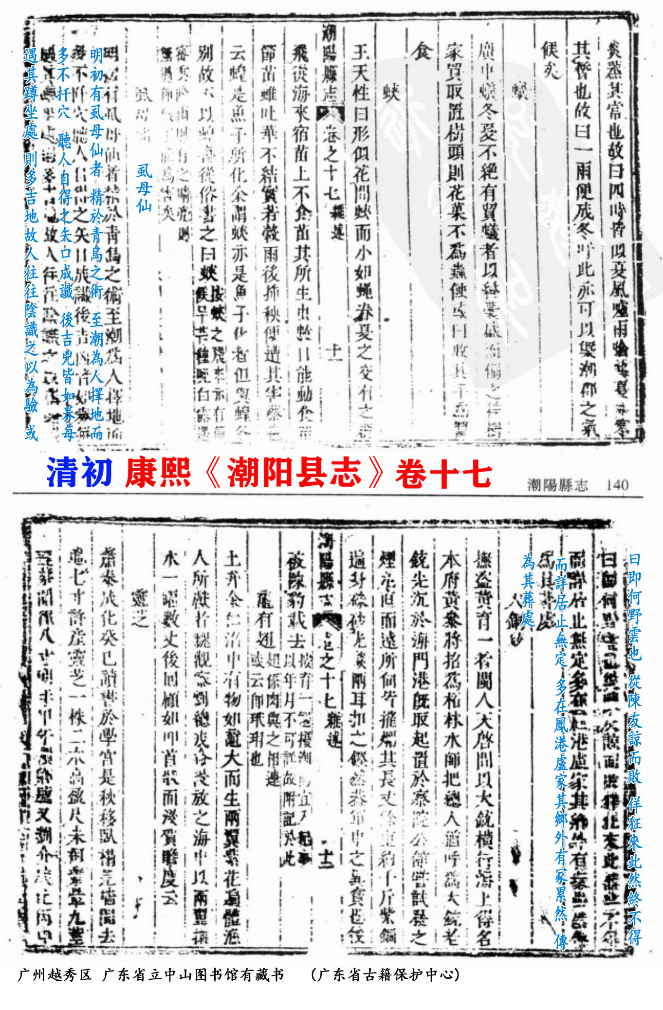 虱母仙何野云的真实身世,何野云虱母仙的故事