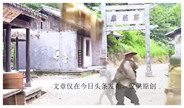 胸罩*点露**、花式泳衣，这些辣眼睛的操作，导演肚子里没一点墨水吗