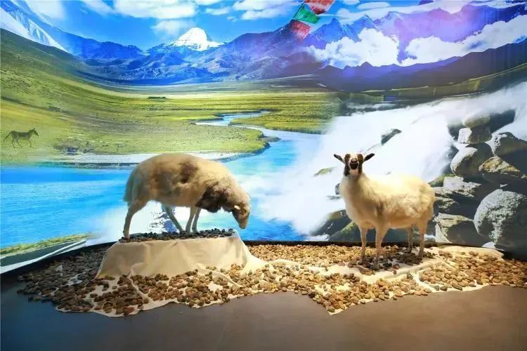 【FENG娱】王佐镇：娱乐+科普+自然，暑假解锁亲子出游新方式！