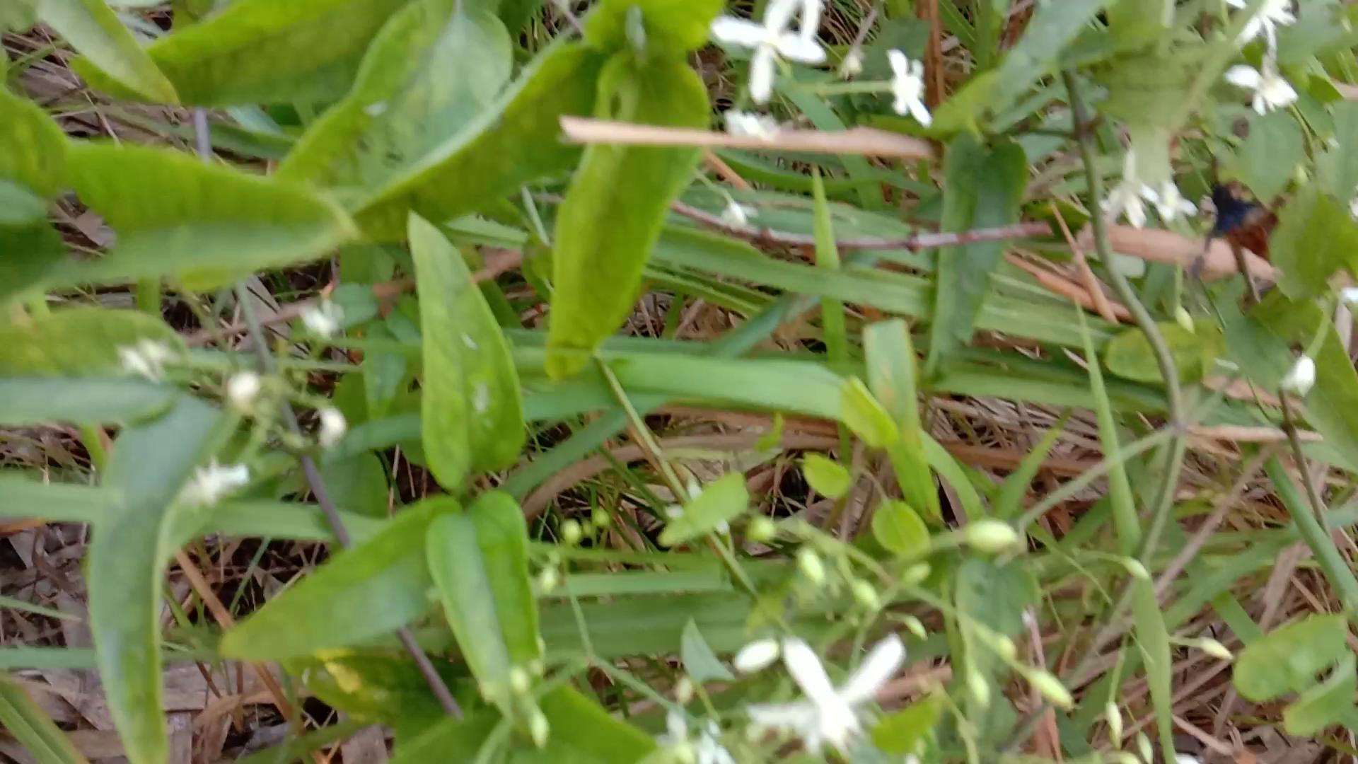 80岁老人脚风湿用什么泡脚,80岁老人泡脚的配方