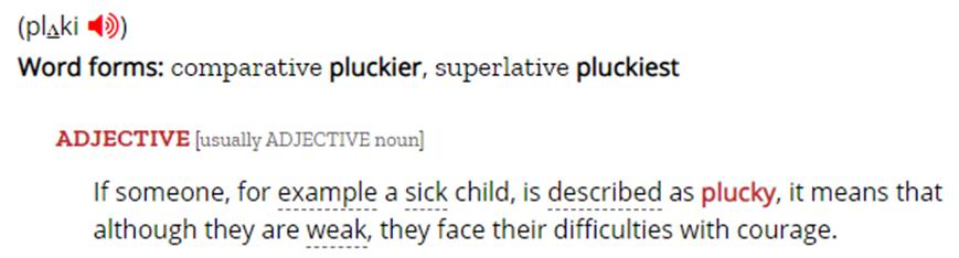 谁给你勇气英语怎么说,有骨气的英语怎么说