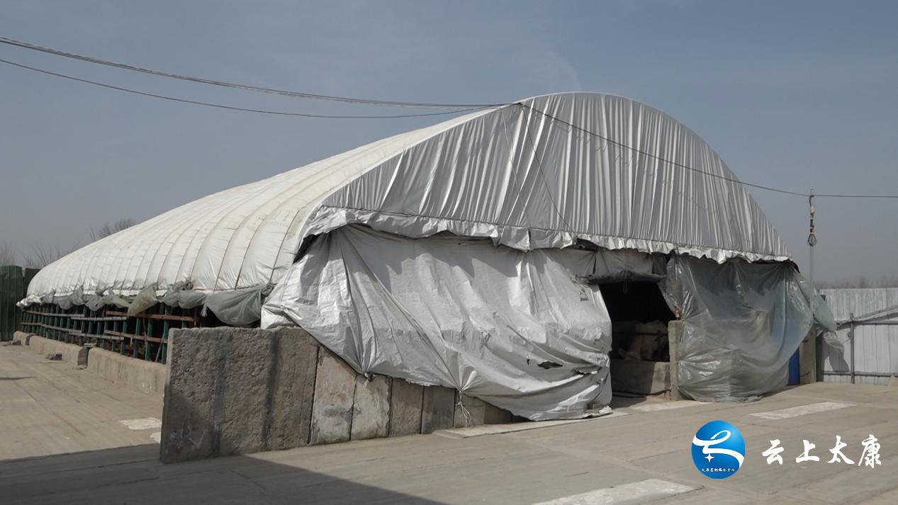 返乡创业当新农人,返乡当牛倌带着牧民共致富