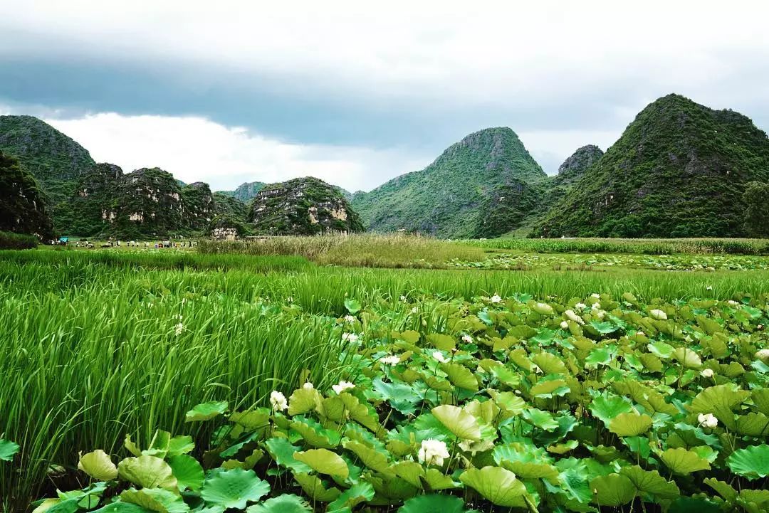 云南普者黑在哪个城市,云南普者黑最美的风景在哪里