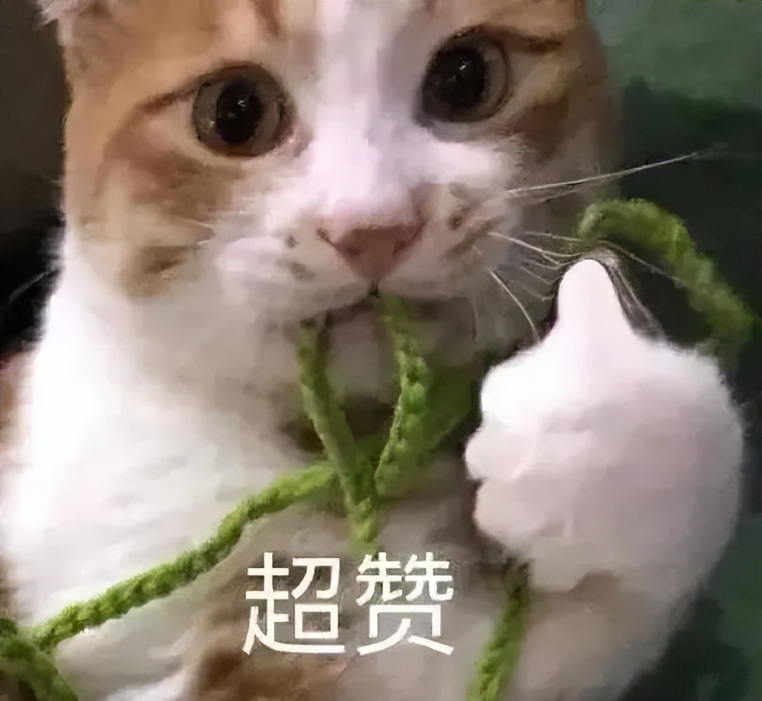 没有gmat可以申请什么商学院,申请商学院gmat