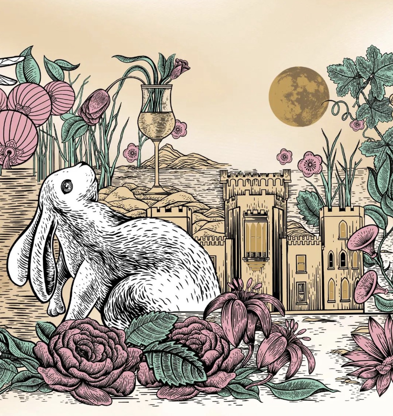 鍙泤,鍙泤缈诲敱