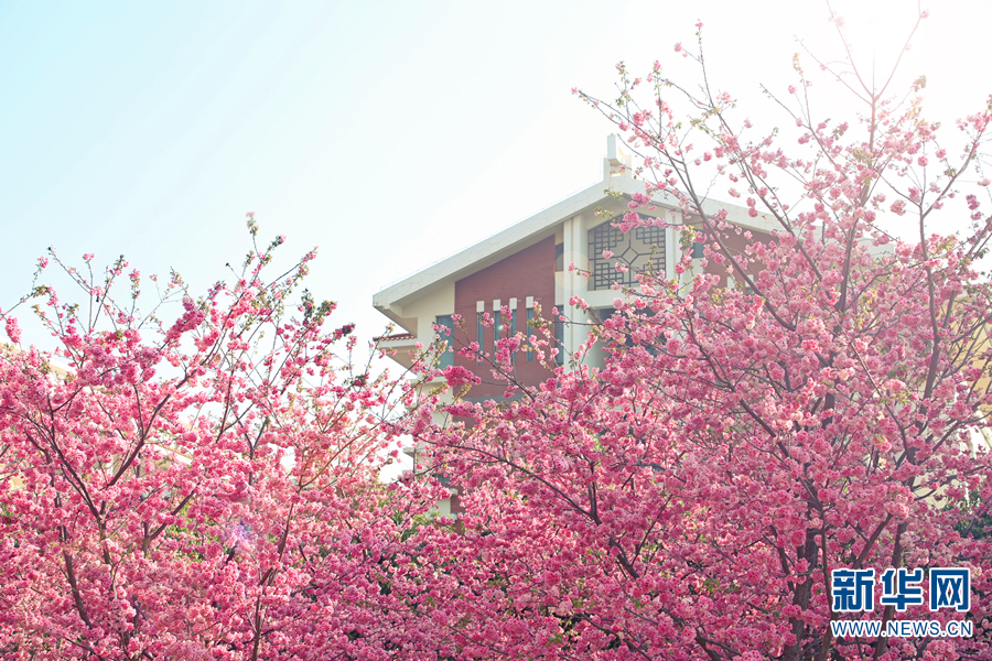 跟着这个旋律，感受有一种叫云南的生活