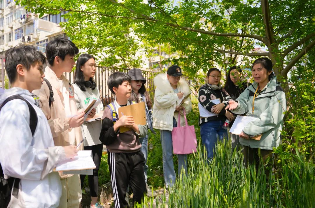 慈善的心态商业的手法,公益要用商业的手法
