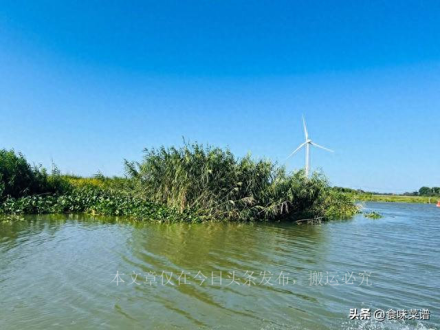 中国哪里大闸蟹最好,全国最好的大闸蟹排行榜第一名