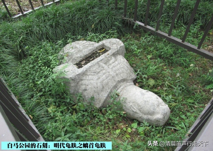 白马公园白马石刻朝代,公园石刻精品欣赏