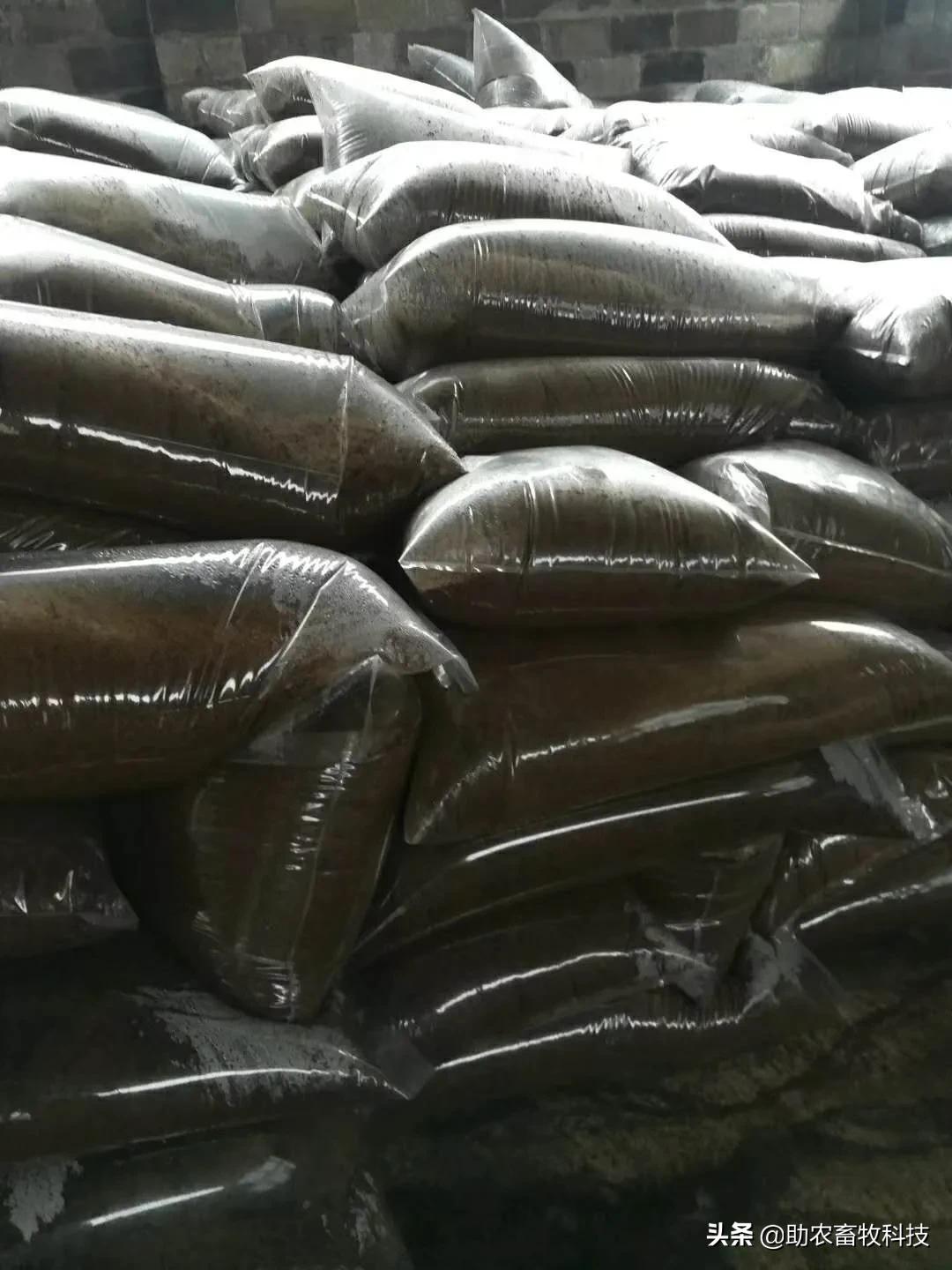 养猪吃饲料和发酵饲料哪种更好,怎样制作养猪发酵饲料