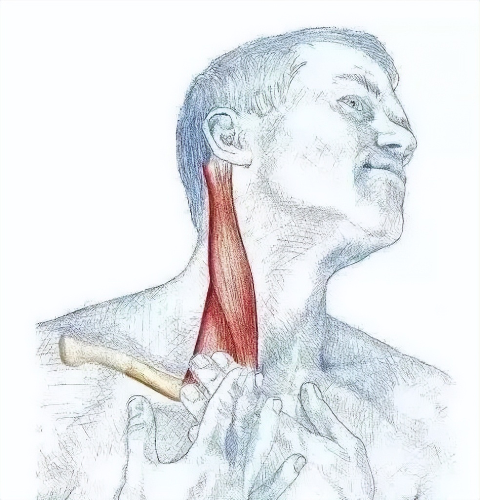 针刺放血哪些穴位治疗失眠,针刺放血治疗失眠吗