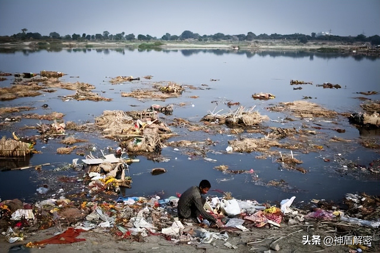 同样都是租借大熊猫,为啥卡塔尔一次就成功,印度求借14次被拒绝