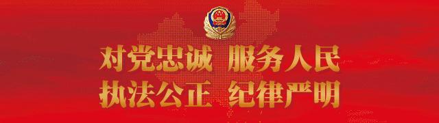 镇安公安文学（第二期）