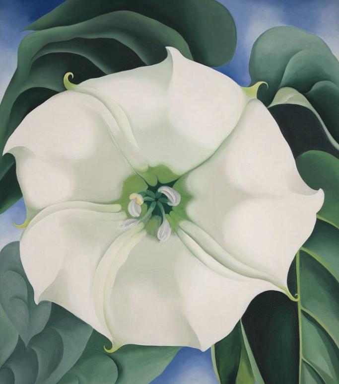 世界知名女画家独居沙漠35年！拒毕加索登门…网友：连家都是艺术